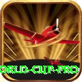 2019 world cup Master Slots
