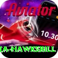 antigua hawksbill Games (Casino & Earning) Max v3.6.8