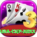 asia cup 2022 Deluxe Pro v5.2.7