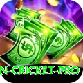 australian cricket Royal Casino App