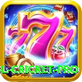 bbl cricket - Live King