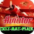 cricket bat - Real Money Premium