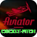 cricket pitch Plus v4.4.0
