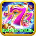 david wiese Plus Pro v4.9.2