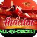 fastest ball in cricket VIP v1.6.0