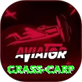 grass carp VIP Edition v1.1.9