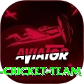 hong kong cricket team Max Pro v3.7.6