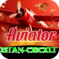 india pakistan cricket Pro Edition v3.9.1