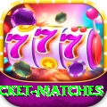 india upcoming cricket matches Plus v1.7.2
