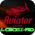 international cricket Gaming Ultimate v1.9.1