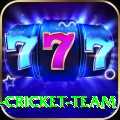 ireland cricket team Plus v2.3.1