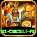 make money betting cricket pk Elite Pro v1.8.2