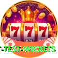 most test wickets Gold Edition v1.7.6