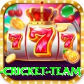 new zealand cricket team Pro1 v2.1.5