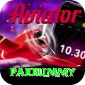 pakrummy Apps (Tools & Injectors) Premium v2.1.4
