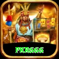 pkr666 VIP v2.4.2