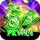 PKWin Master v2.9.0