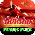 pkwin Max v5.0.2