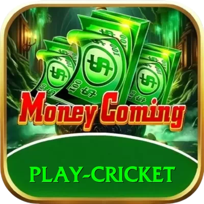 play cricket VIP Pro v2.1.1 - 2