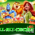 risk free bet cricket Deluxe v2.5.7