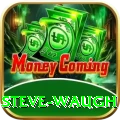 steve waugh Plus Edition v3.9.6