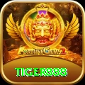 tiger888 Master v4.4.3