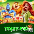 tojay Pro PK v3.4.8