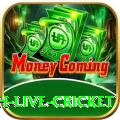watch live cricket Games (Casino & Earning) Ultimate v1.1.0