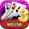 wc t20 VIP Pro v4.9.8