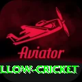 willow cricket Pro1 v2.6.9