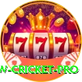 willow cricket Pro Slots